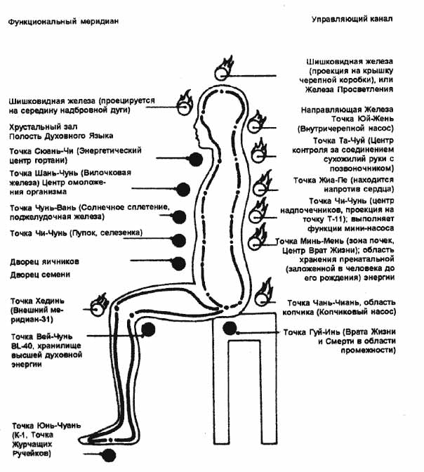 Меридианы в теле человека